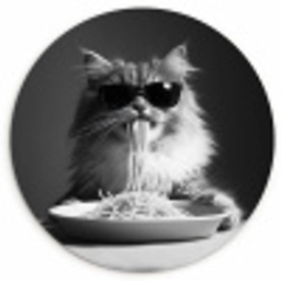 Langharige kat - Zonnebril - Spaghetti - Humor - Zwart - wit Wandcirkel plexiglas klein -3d