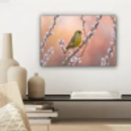 Groenling - Katjes - Lente - Natuur - Zacht canvas 2cm klein -sfeer6