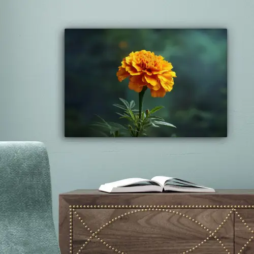 Bloemblaadjes - Afrikaan - Oranje - Wazig canvas 2cm klein -sfeer4