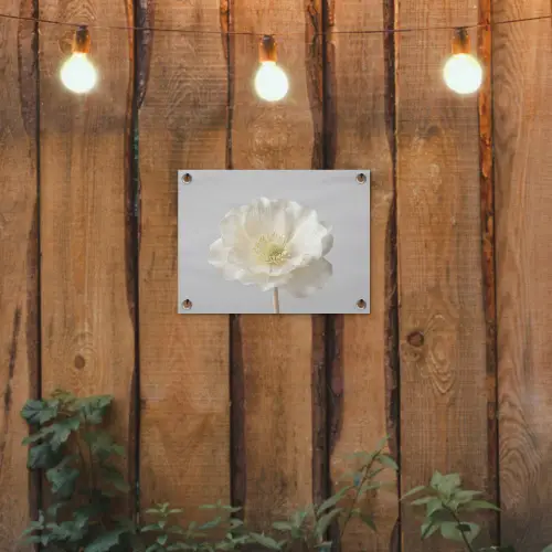 Bloem - Minimalistisch -Wit tuinposter los doek klein -sfeer1