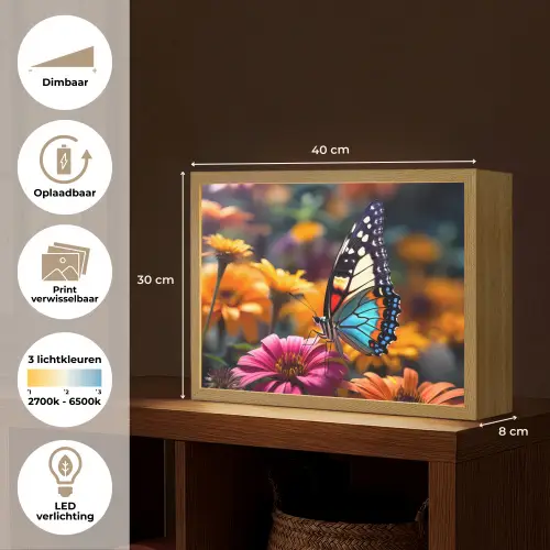 Vlinder - Dier - Kleurrijk - Bloemen - Natuur Light Box met batterij (Wandlamp) middel -USP_websiteoverzichtNL