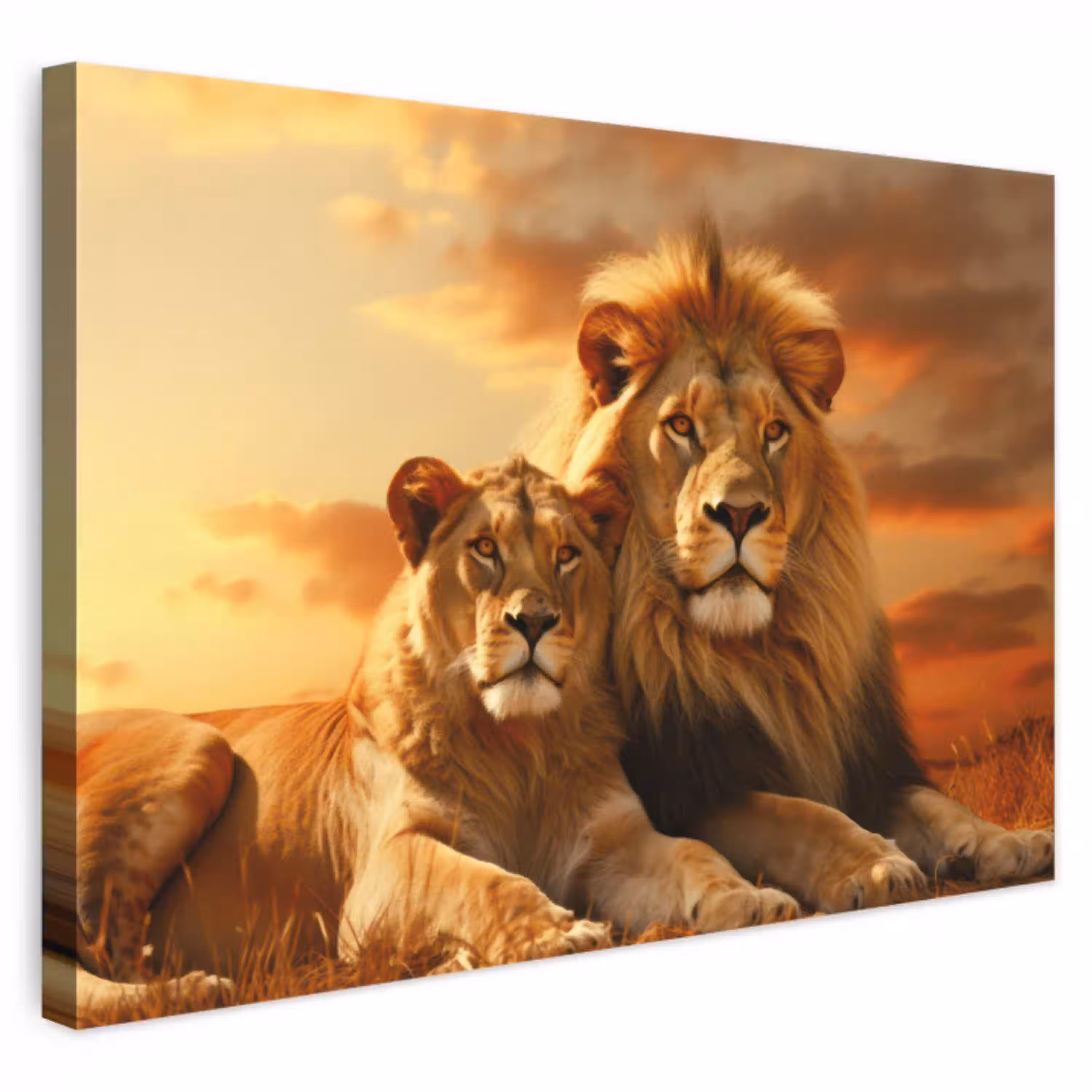 Leeuwen - Zonsondergang - Afrika - Savanne - Dieren canvas 2cm klein -3d