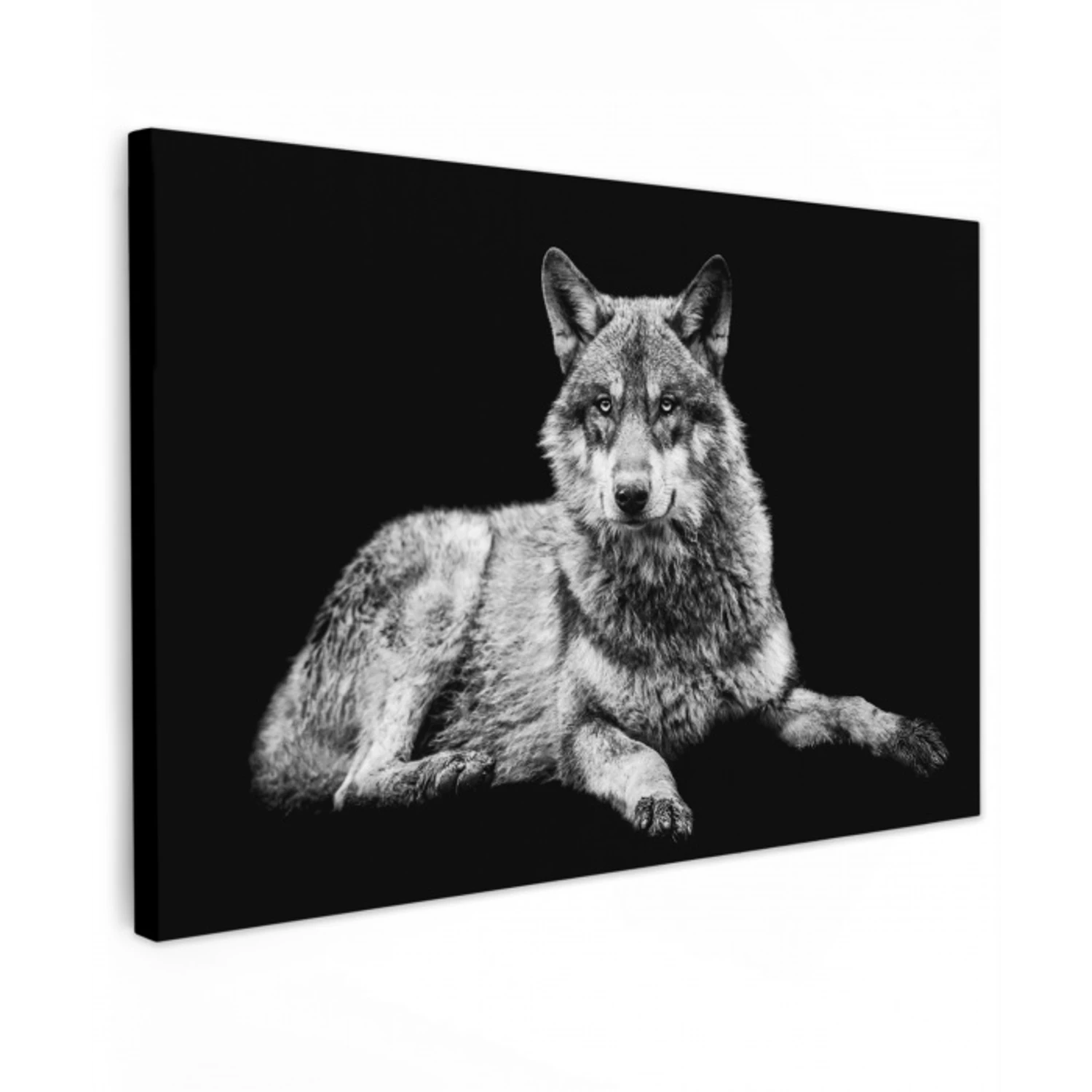 Wilde dieren - Wolf - Zwart - Wit canvas 2cm klein -z3d