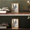 Palmboom - Tropisch - Zwart - Wit Light Box met kabel (Tafellamp) klein -sfeer3