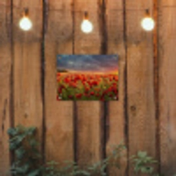 Klaprozenveld bij zonsondergang tuinposter los doek klein -sfeer1