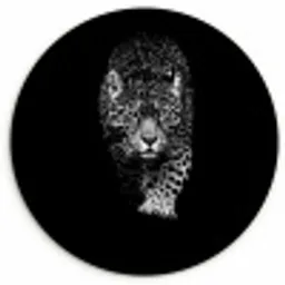 Dieren - Zwart - Luipaard - Wit - Wild Wandcirkel kunststof plaat 5mm dik klein -3d
