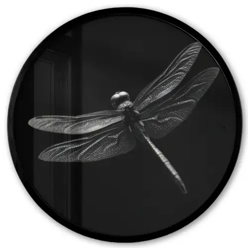 Libelle - Dieren - Zwart - Insect Fotolijst rond zonder passe partout klein -3d