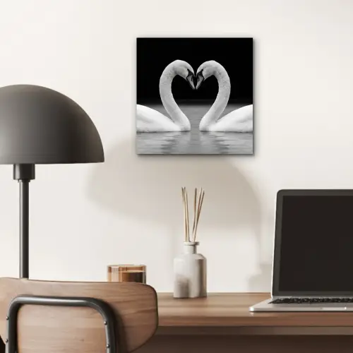 Zwanen - Hart - Zwart - Wit aluminium wit klein -sfeer5