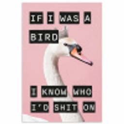 Zwaan - Vogel - Decoratie - Roze poster papier klein -3d