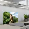 Uil - Boomstronk - Bos - Lucht keuken achterwand spatscherm klein -3d_schuin