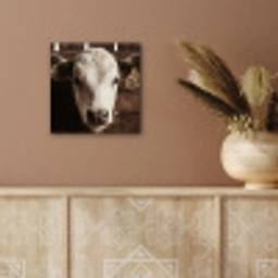 Kalf - Oormerk - Houten stal aluminium wit klein -sfeer4
