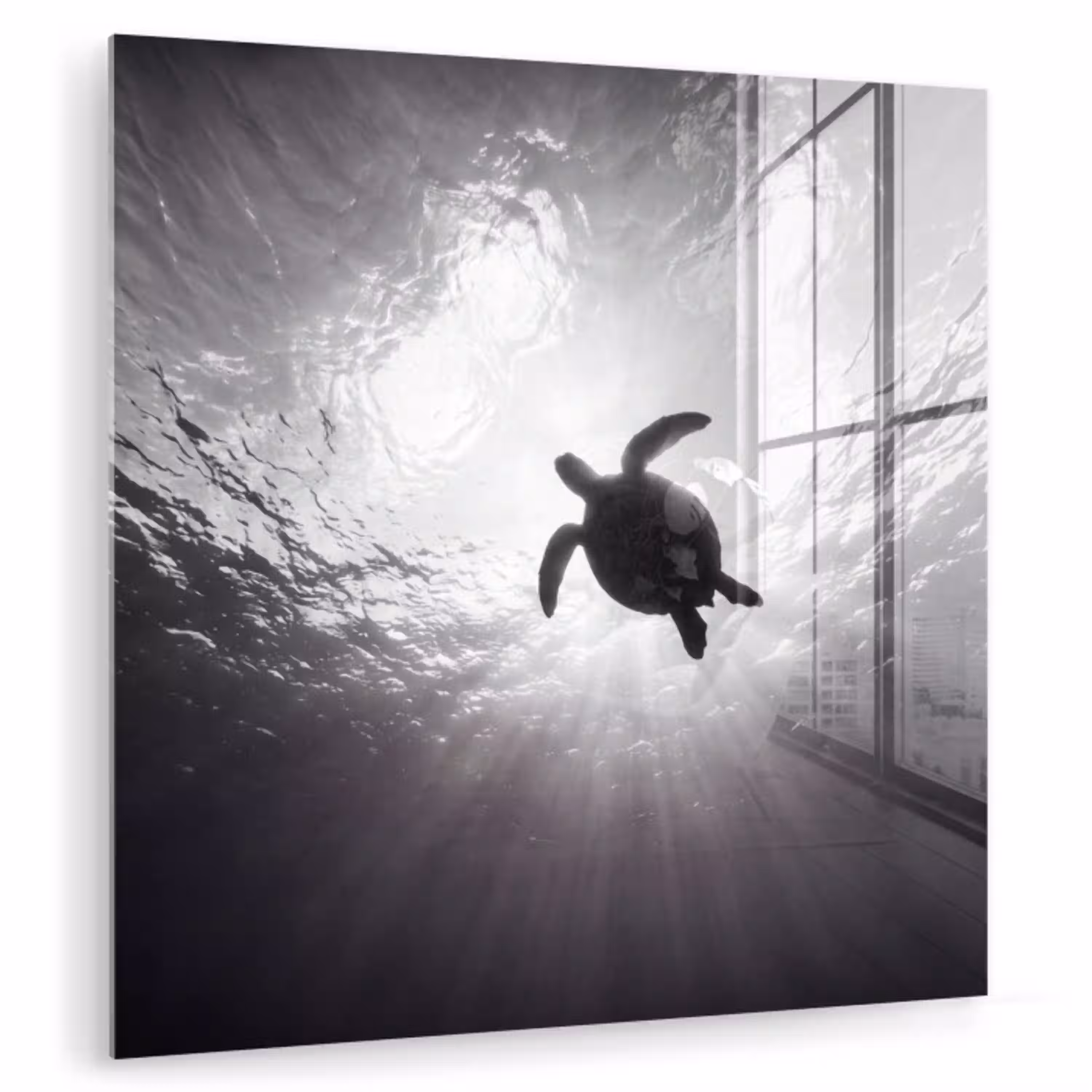 Schildpad - Onderwater - Lichtstralen - Oceaan - Zwart-wit plexiglas 5mm klein -zzzproduct_nieuw