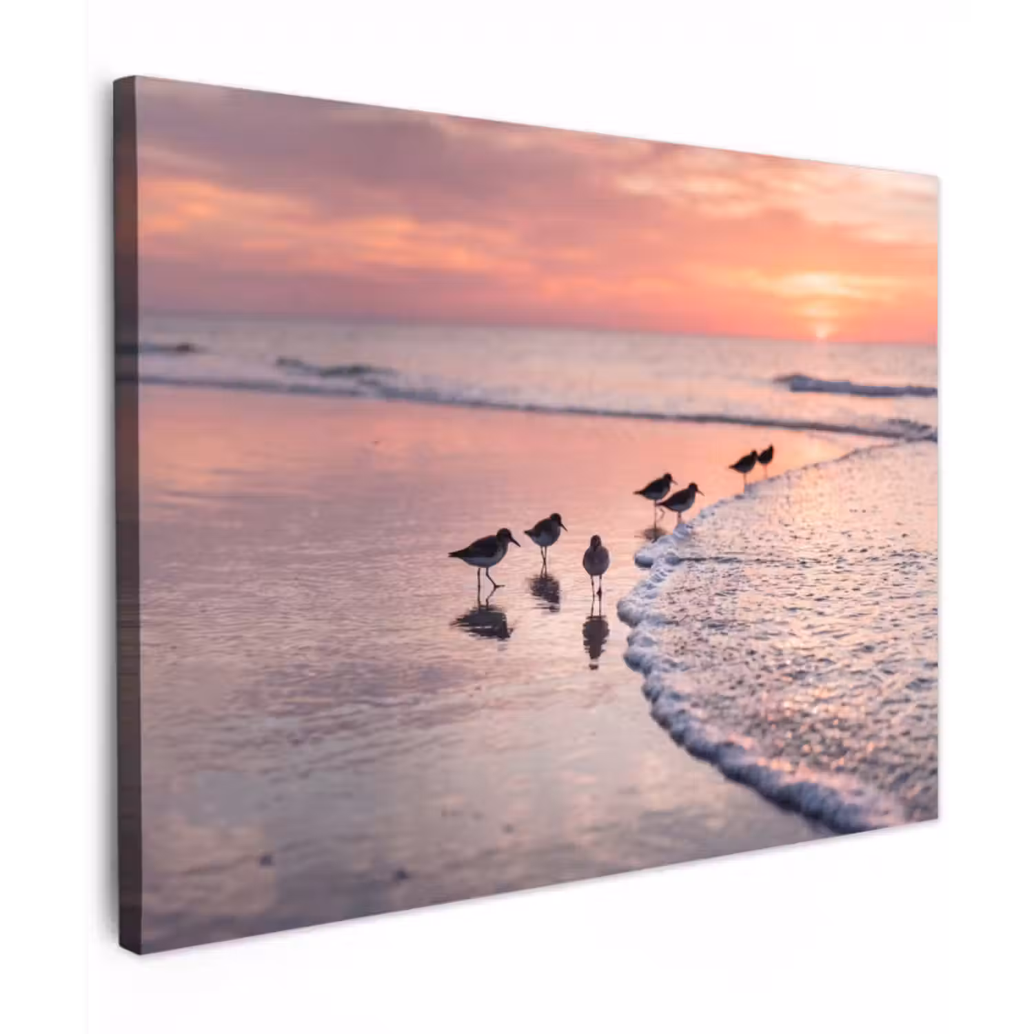 Canvas Print - Seagulls - Beach - Sea - Pink