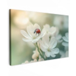 Lieveheersbeestje - Bloemen - Wit Tuinposter op houten frame 2 cm dik klein -3d