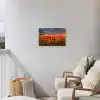 Klaprozenveld bij zonsondergang Tuinposter op houten frame 2 cm dik klein -sfeer1