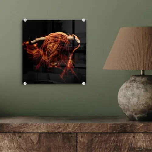 Schotse hooglander - Koe - Hoorns - Portret - Dieren plexiglas 5mm klein -sfeer3