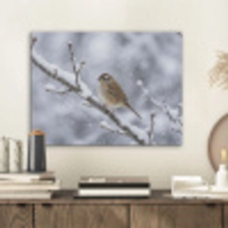 Vogel - Tak - Sneeuw - Winter PET vilt klein -sfeer1