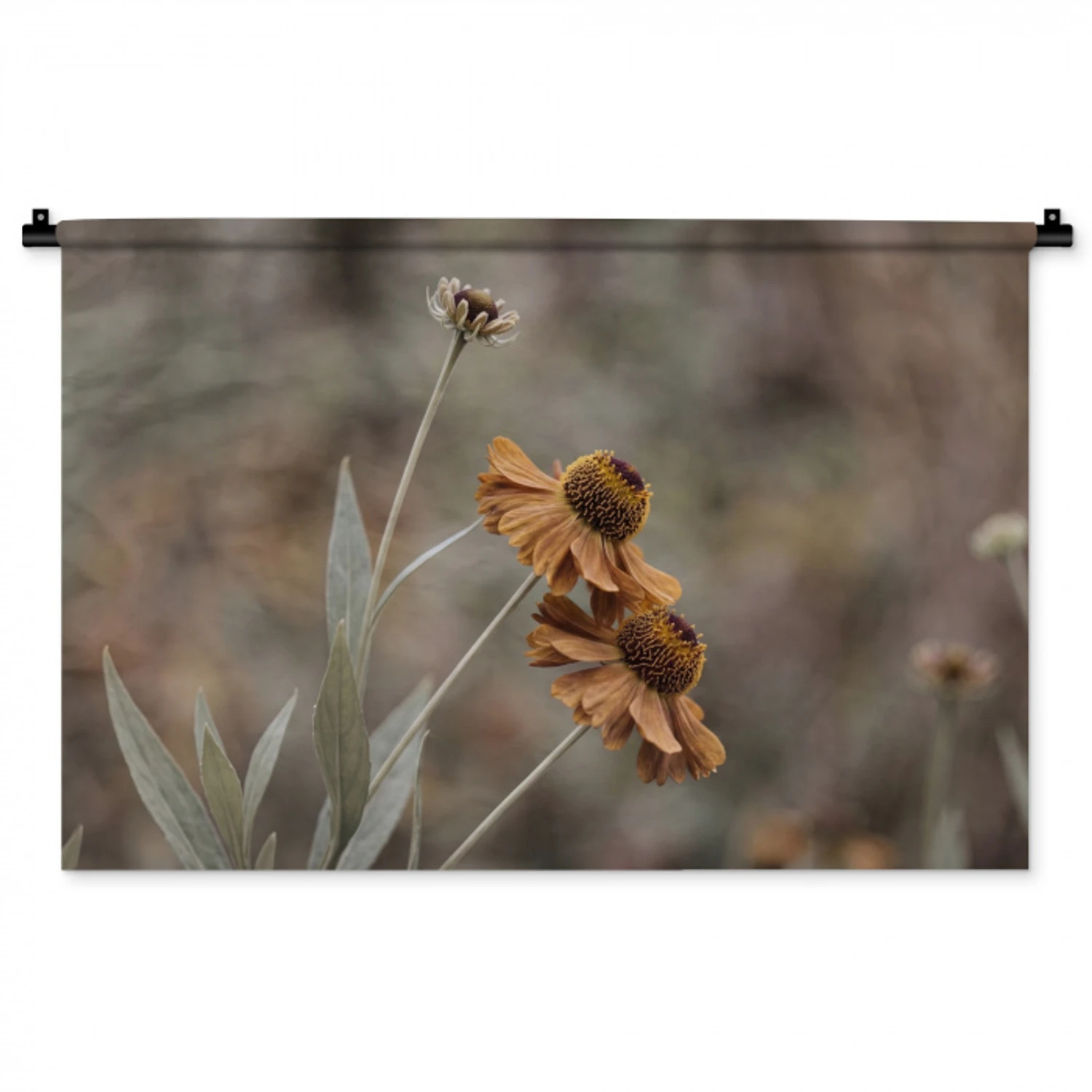 Zonnehoed - Droogbloemen - Geel - Warm Wandkleed katoen middel -zz3d