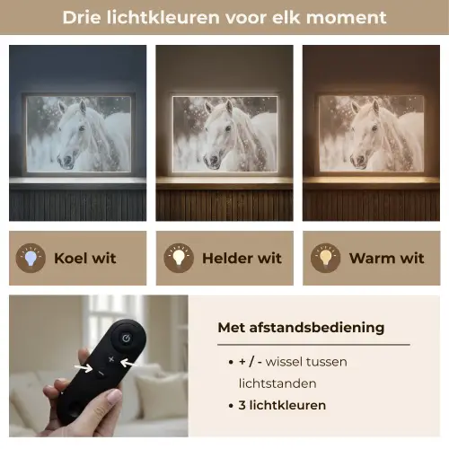 Paard - Wit - Winter - Natuur - Sneeuw - Dieren Light Box met batterij (Wandlamp) middel -USP_lichtkleurNL