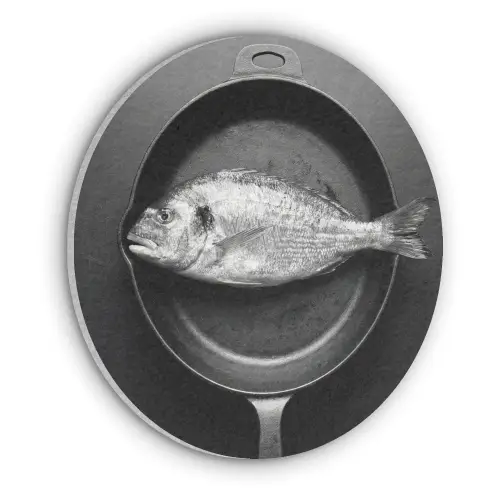 Pan - Vis - Zwart - Wit Akoestische PET Vilt - Rond klein -3d