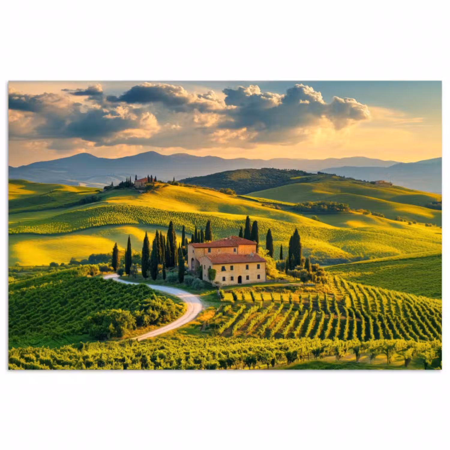 Poster - Toskana - Landschaft - Weinberge