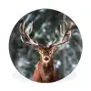Hert - Winter - Sneeuw - Bos - Natuur - Dier Wandcirkel aluminium klein -3d