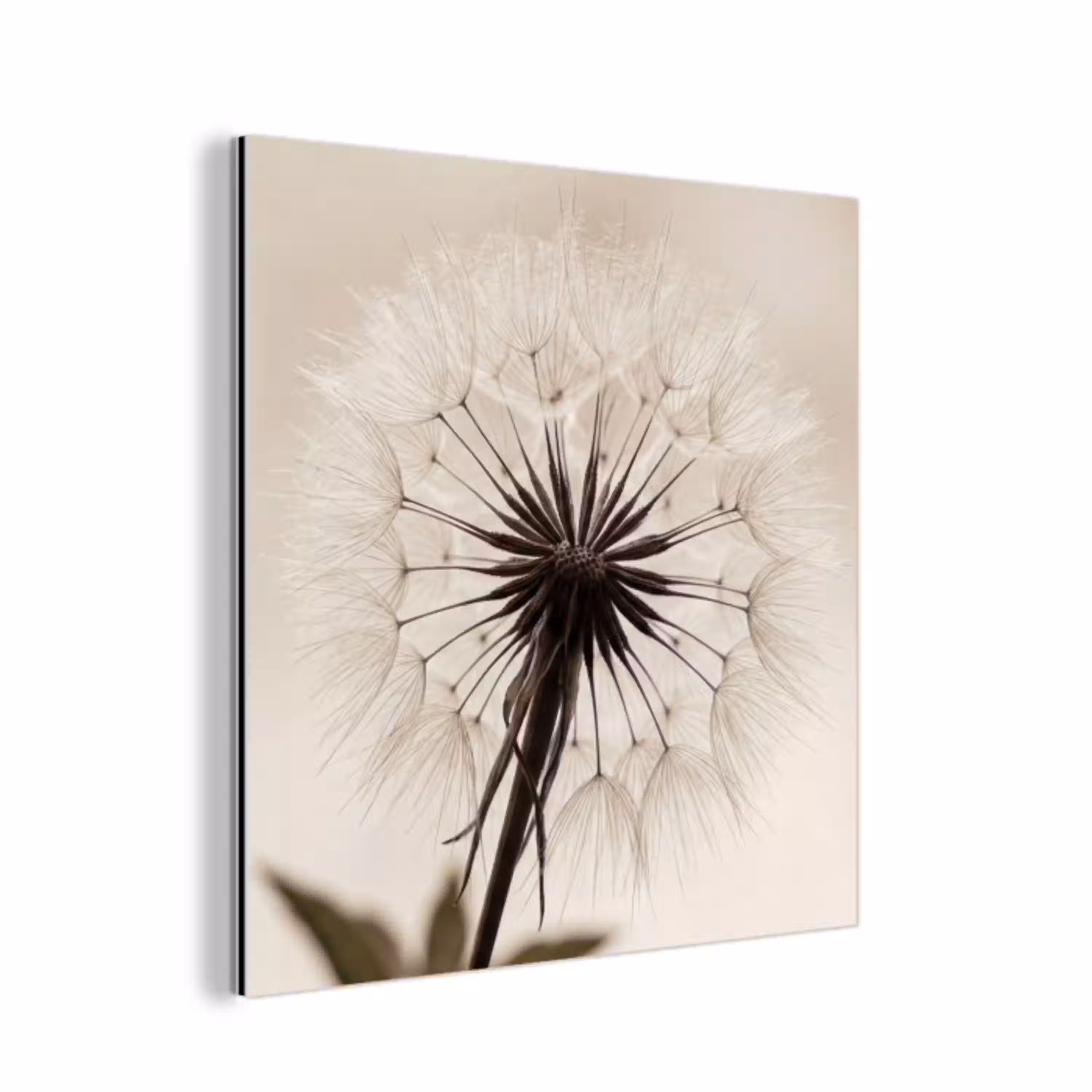 Paardenbloem - Minimalistisch - Wit aluminium wit klein -3d