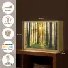 Bos - Zon - Bomen - Gras - Landschap  - Natuur Light Box met batterij (Wandlamp) middel -USP_websiteoverzichtNL