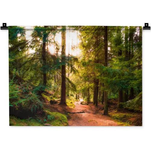Bos - Pad - Bomen - Groen - Zon - Natuur Wandkleed katoen klein -zz3d