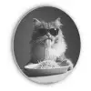Langharige kat - Zonnebril - Spaghetti - Humor - Zwart - wit Akoestische PET Vilt - Rond klein -3d