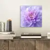 Paars - Dahlia - Dromerig aluminium wit klein -sfeer1