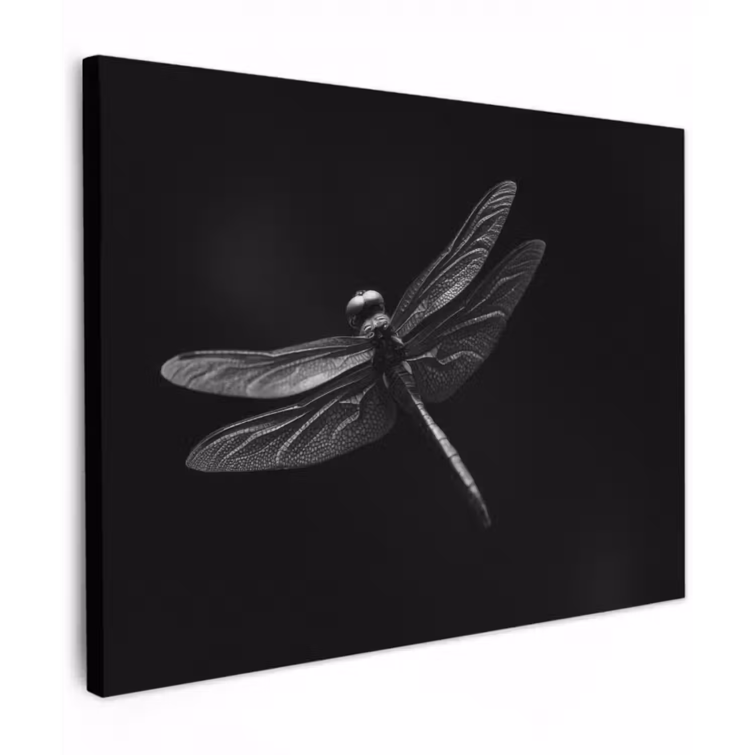 Leinwandbild - Libelle - Tiere - Schwarz - Insekt