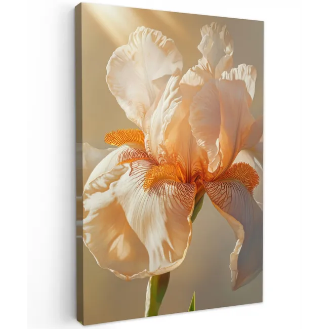 Close up - Oranje - Iris Tuinposter op houten frame 2 cm dik klein -3d