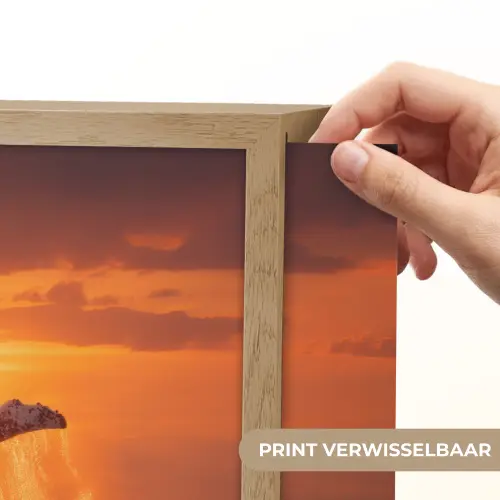 Walvis - Zon - Zee Light Box met batterij (Wandlamp) middel -USP_websiteprintNL
