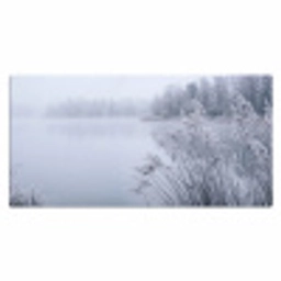 Riet - Bevroren - Winter - Natuur Muismat XXL klein -3d_leeg