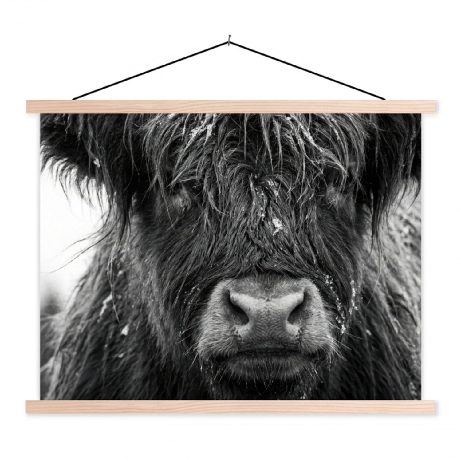 Schotse hooglander - Zwart - Wit - Sneeuwvlokken textielposter latten blank klein -3d