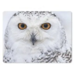 Sneeuwuil - Oog - Wildlife - Wit muismat rubber klein -3d