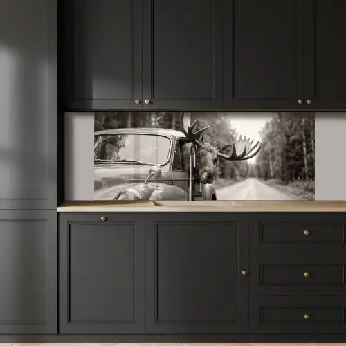Eland - Auto - Gewei - Zwart - Wit keuken achterwand 2 middel -sfeer1
