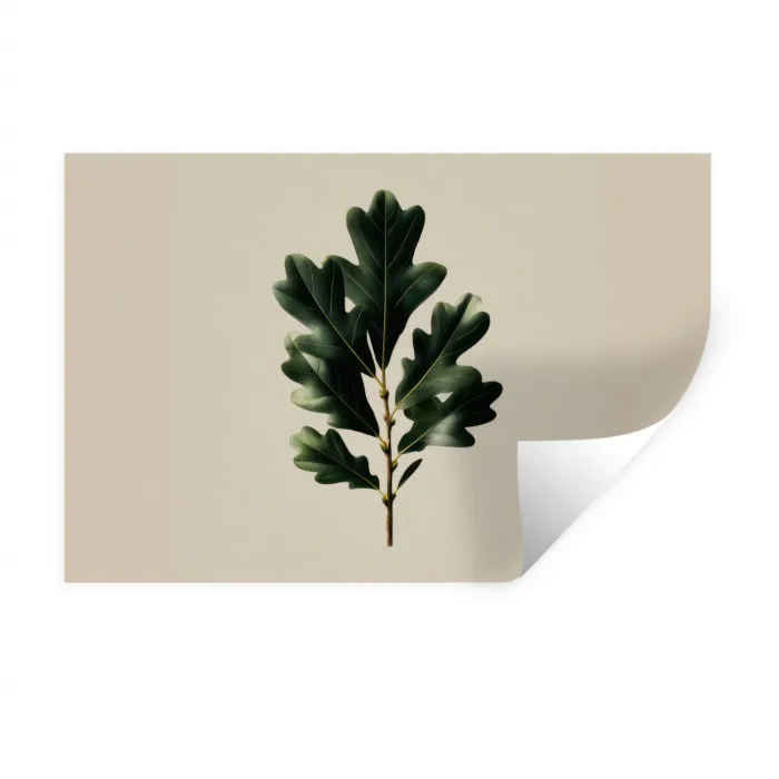 Eikenbladeren - Beige - Groen - Golvende randen Muursticker klein -3d