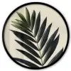 Palmblad - Donkere bladen - Subtiel Fotolijst rond zonder passe partout klein -3d