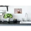 Mand - Eieren - Roze Muursticker klein -keuken