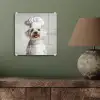 Hond - Wit - Kok plexiglas 5mm klein -sfeer3