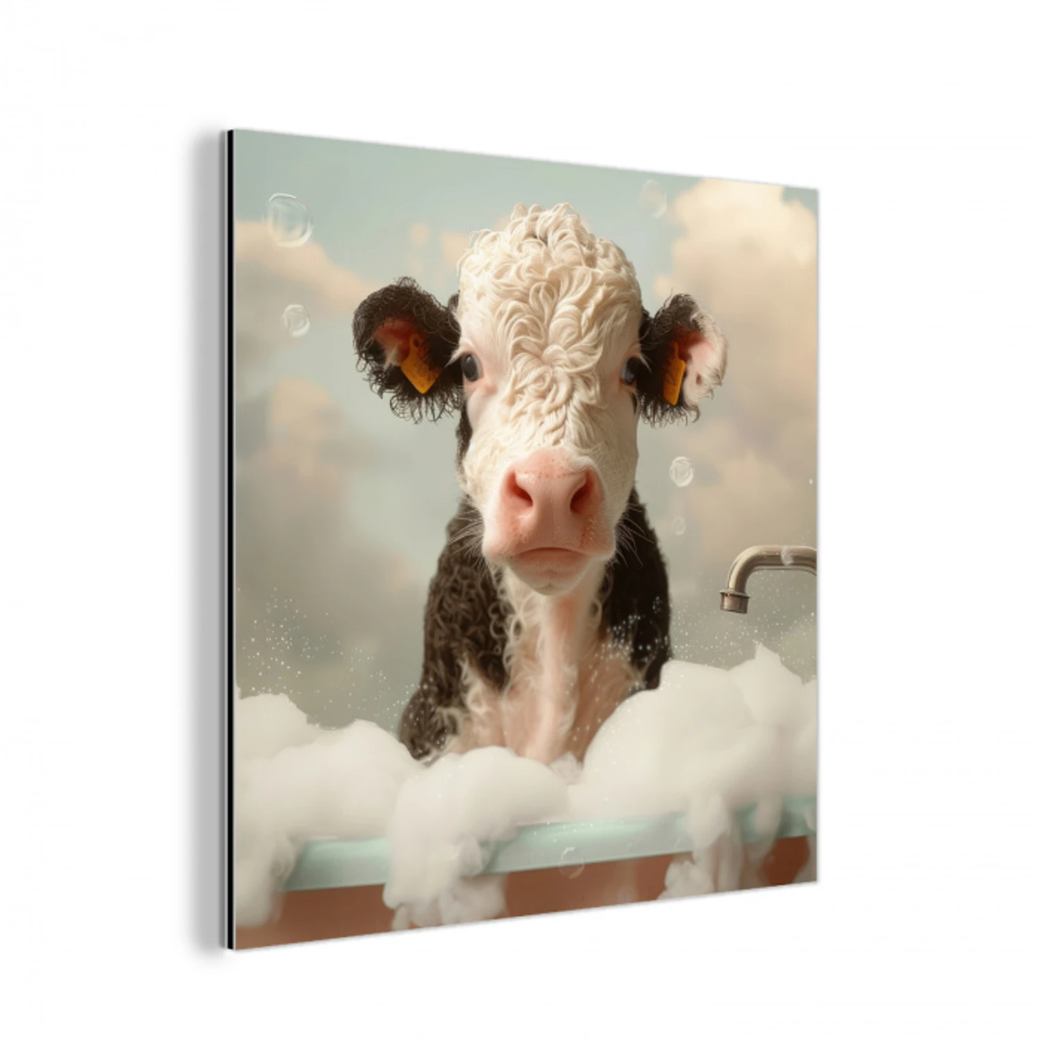 Kalf - Koe - Bad - Schuim - Dieren aluminium wit klein -3d