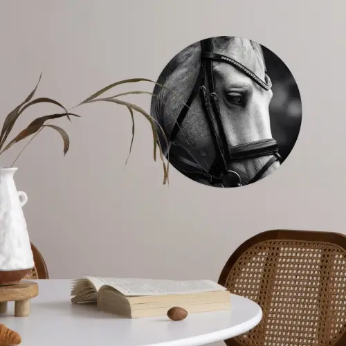 Paard - Schimmel - Portret Wandcirkel behangsticker klein -sfeer3