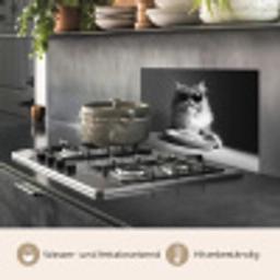 Langharige kat - Zonnebril - Spaghetti - Humor - Zwart - wit keuken achterwand spatscherm klein -usp_DE