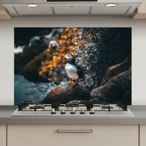 Papegaai - Vogel - Rots - Wit keuken achterwand spatscherm klein -3d_website