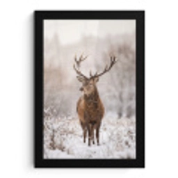 Edelhert - Bos - Sneeuw - Winter - Majestueus fotolijst zwart zonder passe partout klein -3d