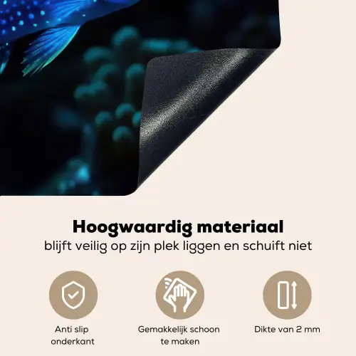 Vis - Stippen - Koraal - Blauw Inductie beschemer met haakjes middel -ky-onderkant-nl