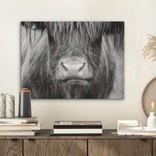 Schotse hooglander - Koe - Zwart - Wit - Dieren PET vilt klein -sfeer1