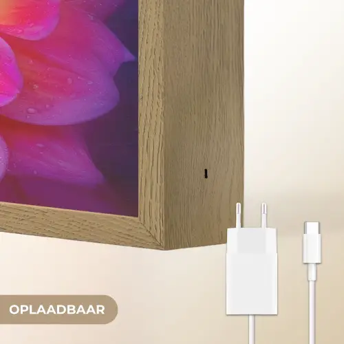 Roze - Dahlia - Kleurrijk Light Box met batterij (Wandlamp) middel -USP_websiteoplaadbaarNL